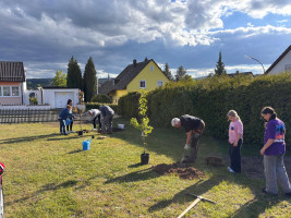 SPD pflanzt Bäume auf Hans-Müller-Spielplatz am Naabberg