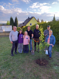 SPD pflanzt Bäume auf Hans-Müller-Spielplatz am Naabberg