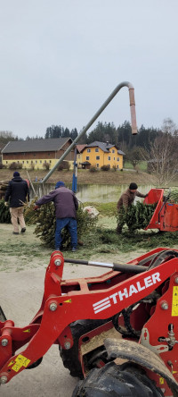 Foto: Weihnachtsbaumsammelaktion der SPD Erbendorf 2024, häckseln der Bäume in Sassenhof, Franz Bauer Jun. 2024