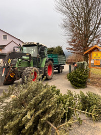 Foto: Weihnachtsbaumsammelaktion der SPD Erbendorf 2024, Franz Bauer Jun. 2024