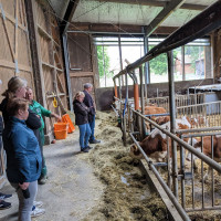Besichtigung der Kälber in Sassenhof